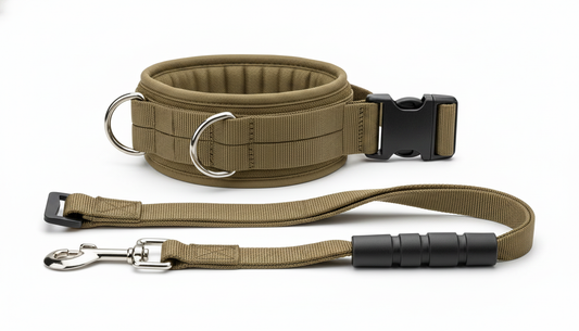 Tactical Dog Collar and Leash Set for Medium & Large Dogs
