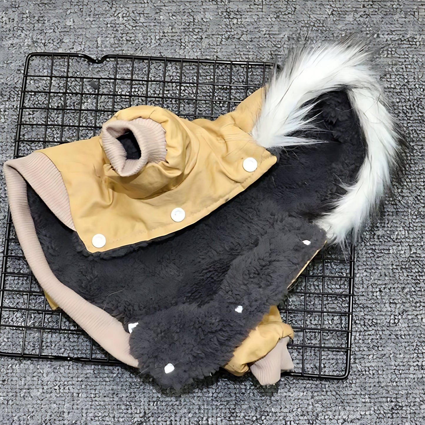 Winter Dog Hoodie Coat for Puppies & Small Dogs