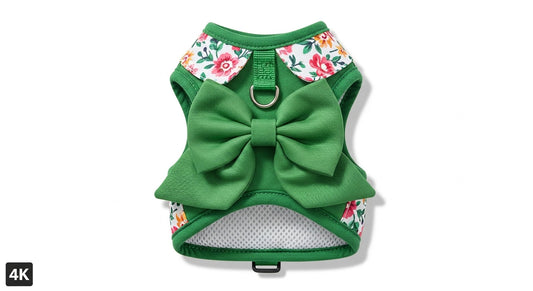 Air Mesh Dog Harness Set with Collar & Lead