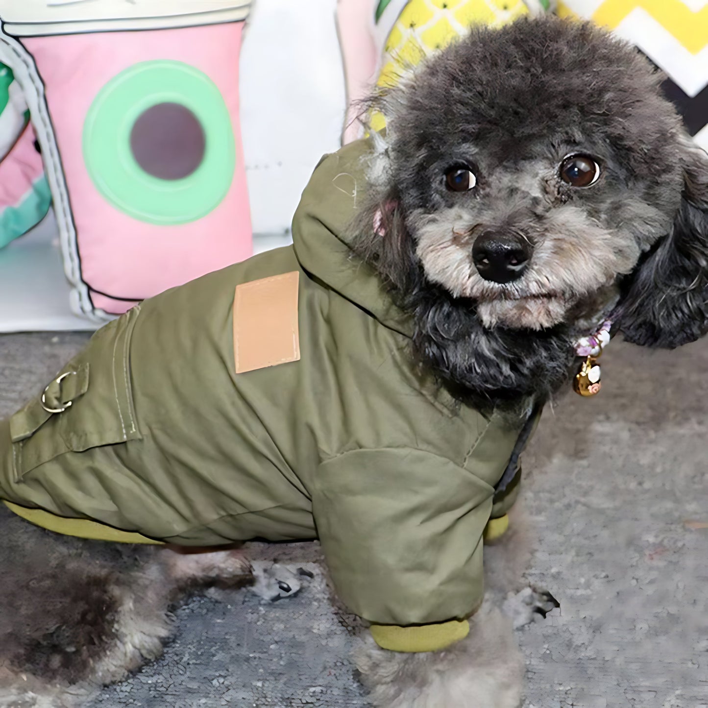Winter Dog Hoodie Coat for Puppies & Small Dogs