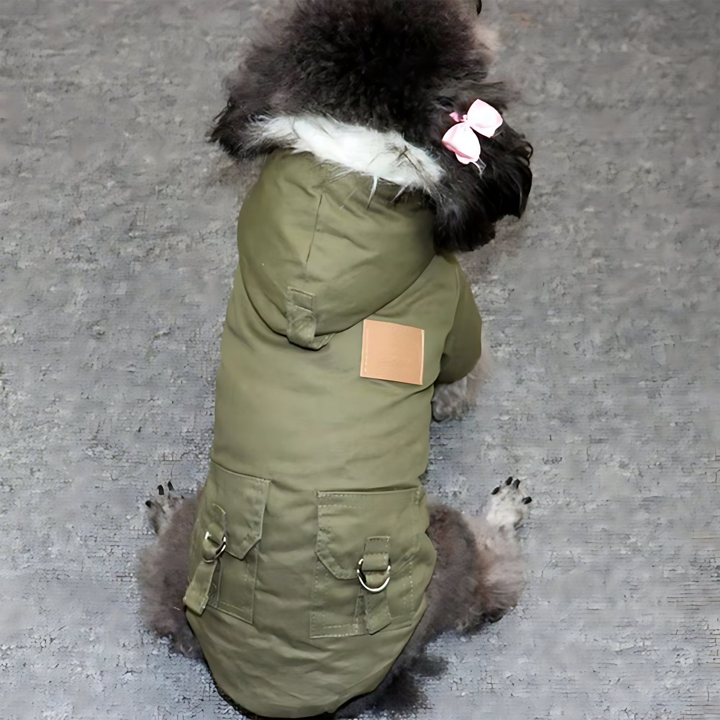 Winter Dog Hoodie Coat for Puppies & Small Dogs