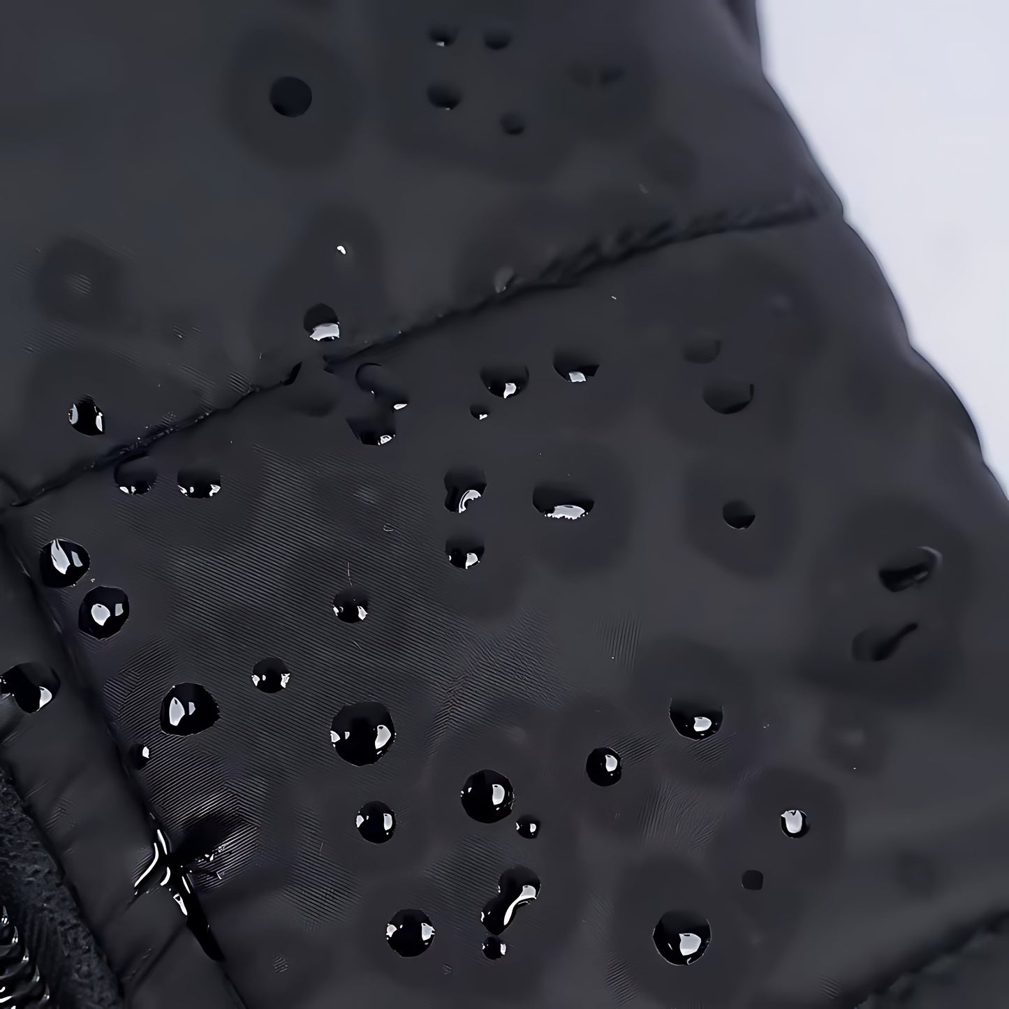Waterproof Dog Coat with Zipper Closure
